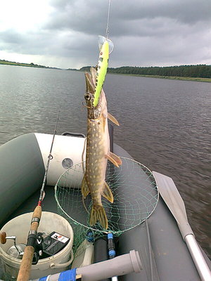 Изображение 606.jpg