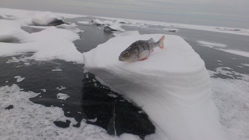 На гребне .....