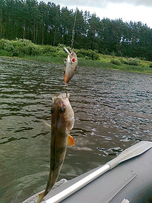 Изображение 601.jpg