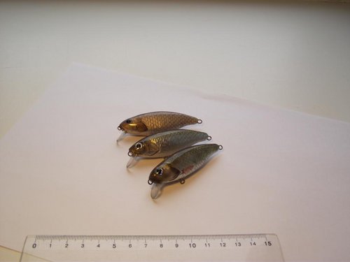 DSCF1134.JPG
