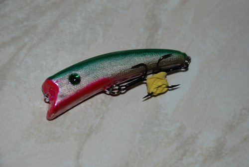 DSC_6175.JPG