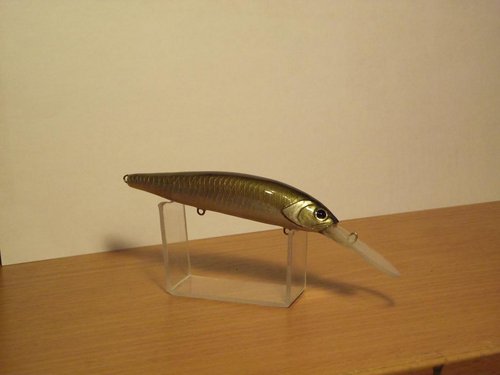DSCF1149.JPG