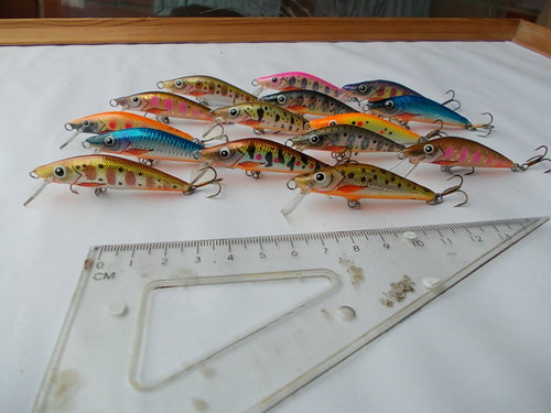 DSCN4239.JPG