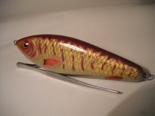 DSCN0808.JPG (53.15 КБ) 3260 просмотров 160 мм, липа, медленно тонущий