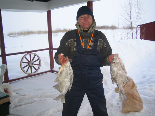 Чудские Лещики