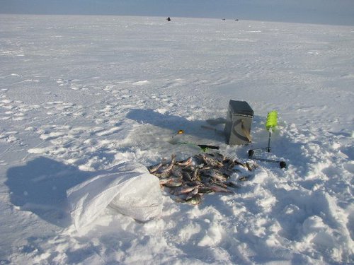 Мое "рабочее место"