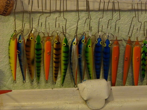 P1020728_новый размер.JPG