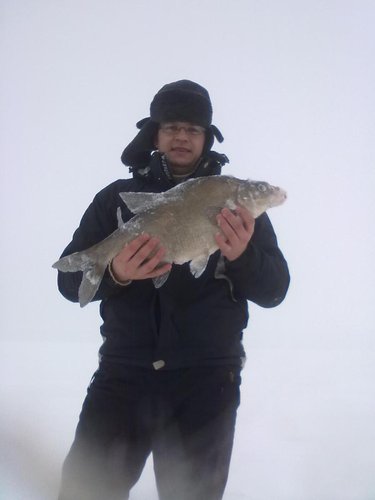 лещ 2,6 кг (59 см) поднял на 0,1.