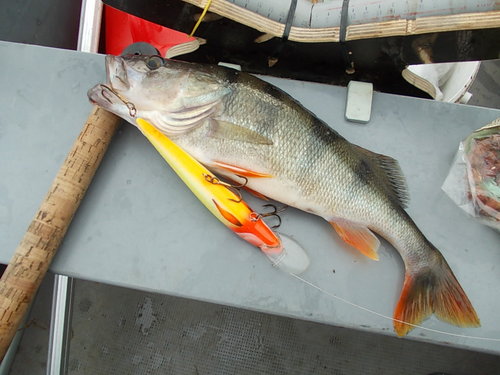 DSCN4712.JPG