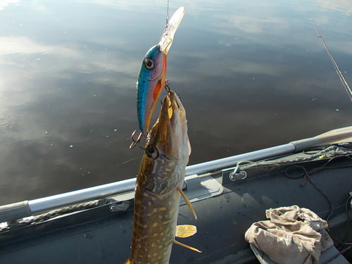 DSCN4730.JPG