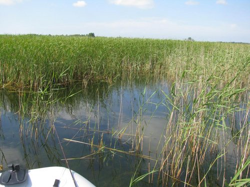 IMG_6534.jpg (168.04 КБ) 5933 просмотра Здесь жили две шучки