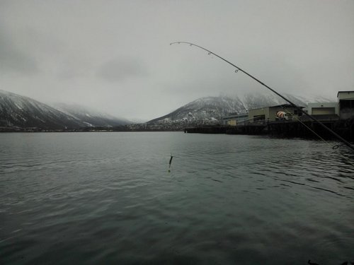 WP_001144.jpg (55.78 КБ) 3281 просмотр Тромсо отлив