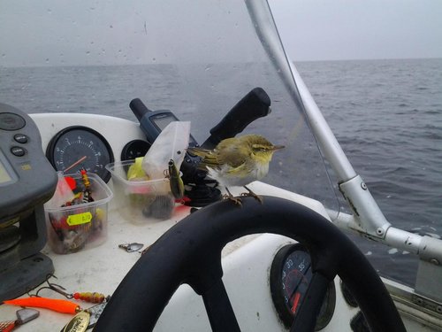 2013-07-27 06.48.50.jpg