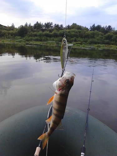 IMG_20140821_081400.jpg (47.37 КБ) 3173 просмотра тут вроде можно получше рассмотреть воблер