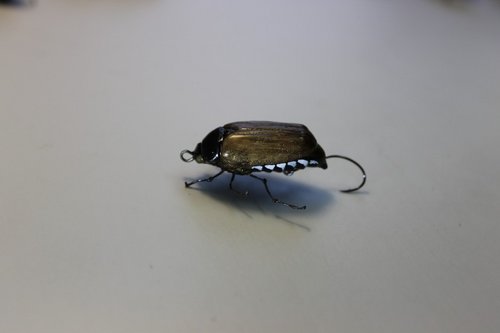 IMG_2219 (Копировать).JPG (51.26 КБ) 20554 просмотра IMG_2219 (Копировать).JPG