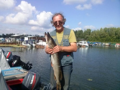 Щука 5кг 04_09_2014.jpg (109.59 КБ) 3187 просмотров хвост грыз не я... я этого грызуна еще поймаю...