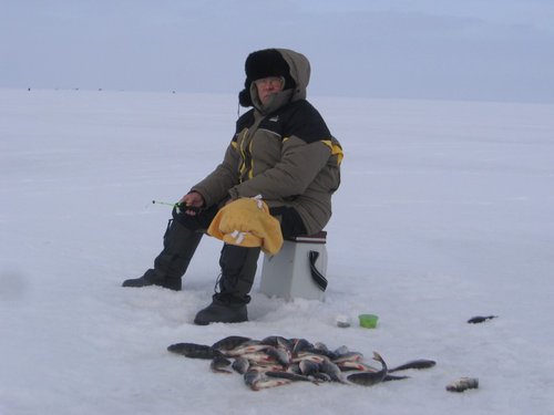 IMG_4009 (800 x 600).jpg