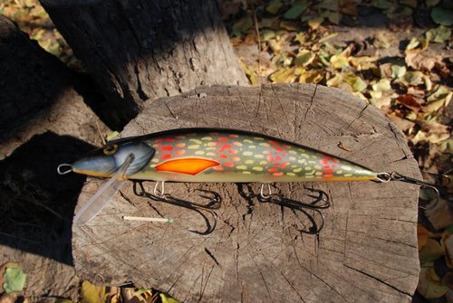 DSC_0642.JPG (151.48 КБ) 9630 просмотров 25см, рабочий горизонт около 2.5м. ольха.