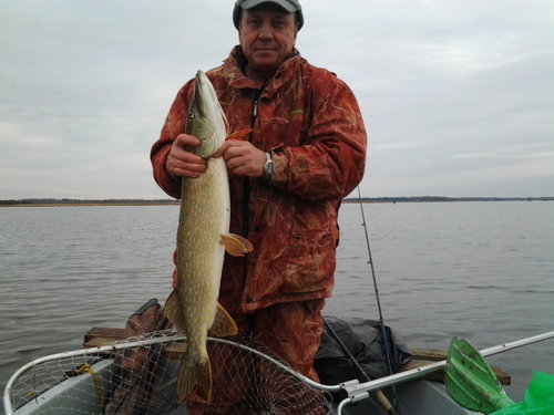 2014-11-01 11.32.16.jpg (80 КБ) 12807 просмотров вот она красавица-4,400