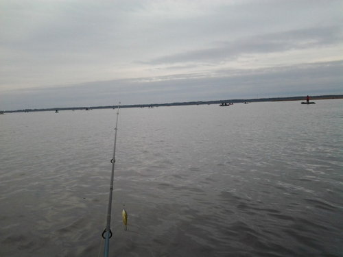 2014-11-01 12.04.14.jpg (48 КБ) 12807 просмотров центральная часть залива