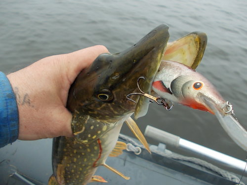 DSCN5736.JPG