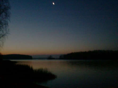 010.JPG