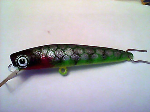 Snapshot_20110317.jpg