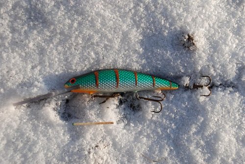 DSC_0596.JPG (162.1 КБ) 9753 просмотра рабочий горизонт 6.5-7м.