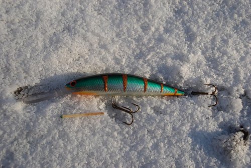 DSC_0603.JPG (168.21 КБ) 9753 просмотра рабочий горизонт 5-5.5м.