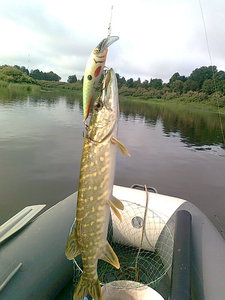 Изображение 514.jpg