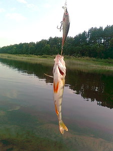 Изображение 505.jpg