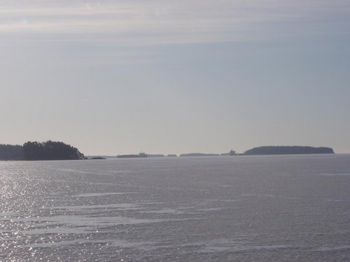 P3149378.JPG