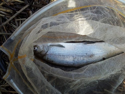IMG-1426334799716-V.jpg
