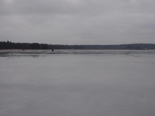 P3249429.JPG