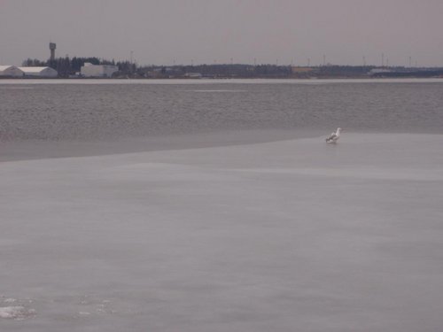 P3279448.JPG