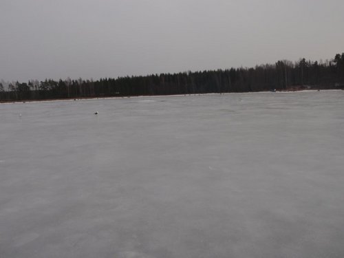 P3279450.JPG