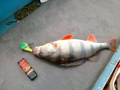 Изображение 185.jpg