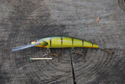 DSC_0665.JPG (184.41 КБ) 10165 просмотров 14 см, очень медленно всплывающий. рабочий горизонт около 5м.