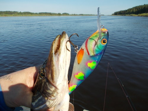 DSCN6515.JPG