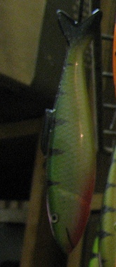 Рыбка Иры.jpg