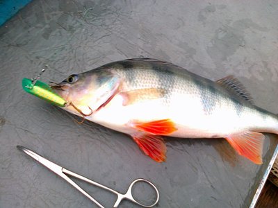 Изображение 186.jpg