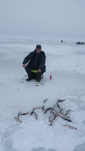 IMGP1290 (337 x 600).jpg