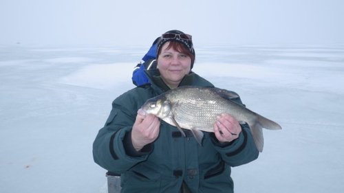 IMGP1289 (600 x 337).jpg