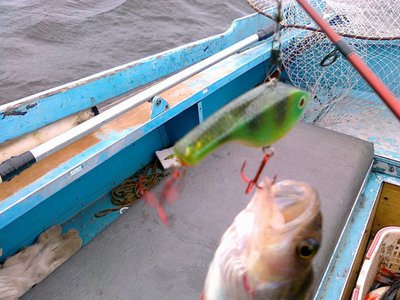 Изображение 187.jpg