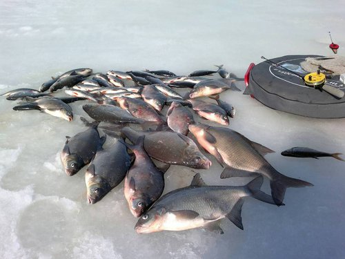 Улов в процессе.