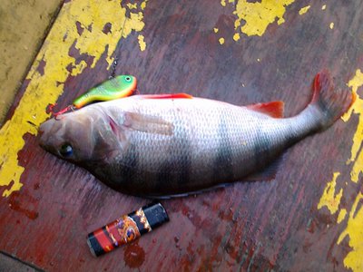 Изображение 188.jpg