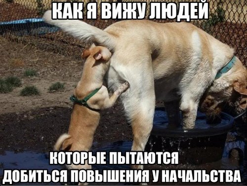xExOqRhyi4M.jpg