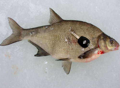 DSCN3885 (640x468).jpg