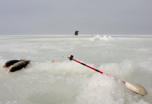 DSCN3889 (640x440).jpg