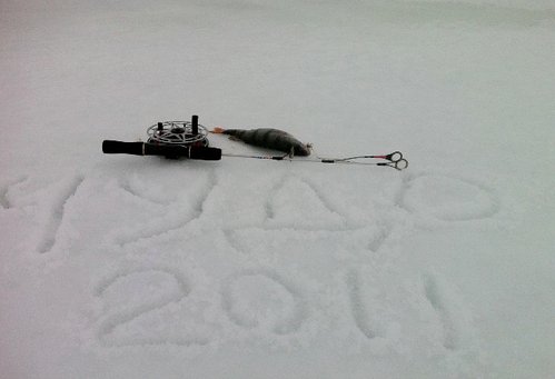 IMG_0224 (640x437).jpg